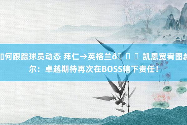 如何跟踪球员动态 拜仁→英格兰😁凯恩宽宥图赫尔：卓越期待再次在BOSS辖下责任！