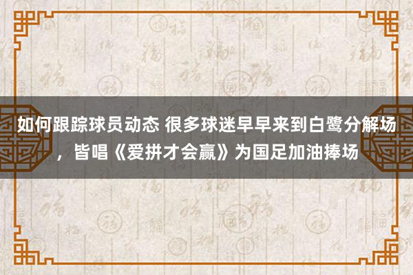 如何跟踪球员动态 很多球迷早早来到白鹭分解场，皆唱《爱拼才会赢》为国足加油捧场