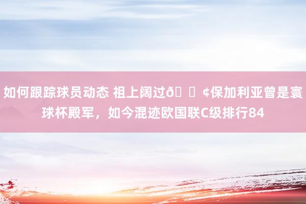 如何跟踪球员动态 祖上阔过😢保加利亚曾是寰球杯殿军，如今混迹欧国联C级排行84