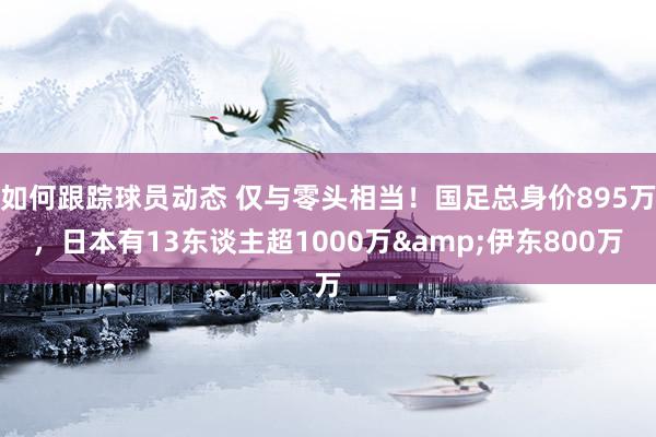 如何跟踪球员动态 仅与零头相当！国足总身价895万，日本有13东谈主超1000万&伊东800万