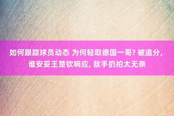 如何跟踪球员动态 为何轻取德国一哥? 被追分, 谁安妥王楚钦响应, 敌手扔拍太无奈