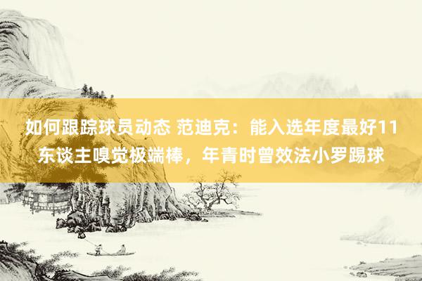 如何跟踪球员动态 范迪克：能入选年度最好11东谈主嗅觉极端棒，年青时曾效法小罗踢球