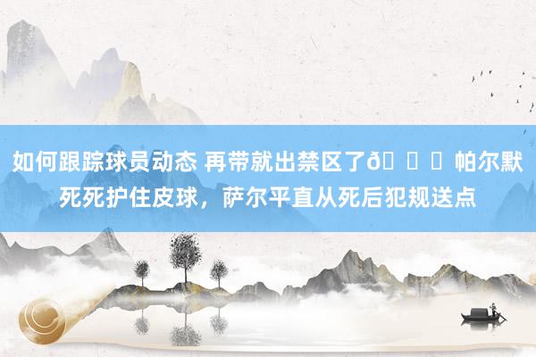 如何跟踪球员动态 再带就出禁区了😂帕尔默死死护住皮球，萨尔平直从死后犯规送点