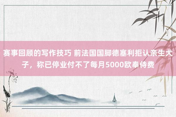 赛事回顾的写作技巧 前法国国脚德塞利拒认亲生犬子，称已停业付不了每月5000欧奉侍费