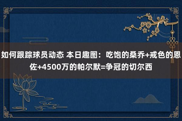 如何跟踪球员动态 本日趣图：吃饱的桑乔+戒色的恩佐+4500万的帕尔默=争冠的切尔西