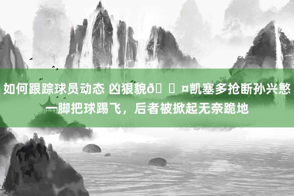 如何跟踪球员动态 凶狠貌😤凯塞多抢断孙兴慜一脚把球踢飞，后者被掀起无奈跪地