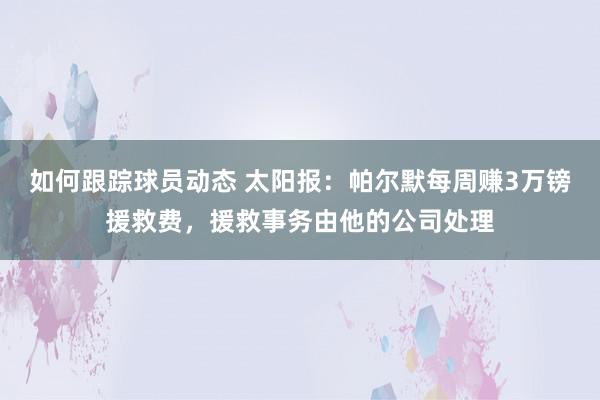 如何跟踪球员动态 太阳报：帕尔默每周赚3万镑援救费，援救事务由他的公司处理