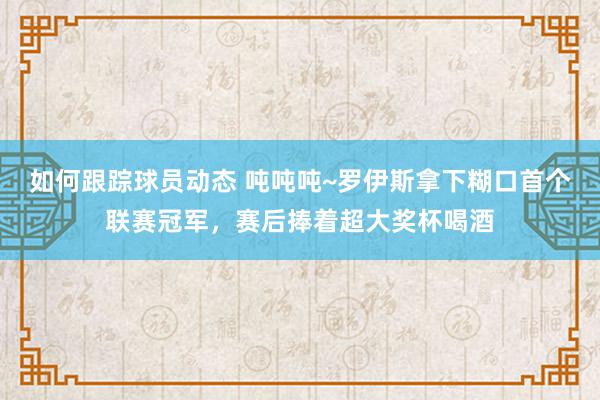 如何跟踪球员动态 吨吨吨~罗伊斯拿下糊口首个联赛冠军，赛后捧着超大奖杯喝酒