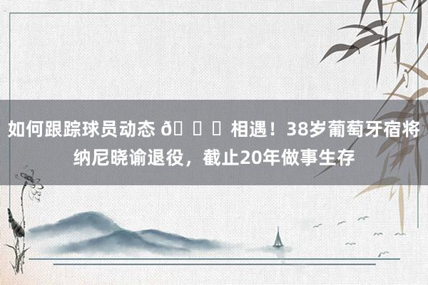 如何跟踪球员动态 👋相遇！38岁葡萄牙宿将纳尼晓谕退役，截止20年做事生存