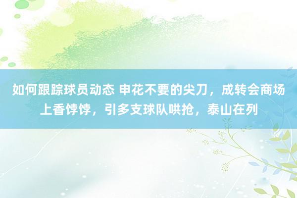 如何跟踪球员动态 申花不要的尖刀，成转会商场上香饽饽，引多支球队哄抢，泰山在列