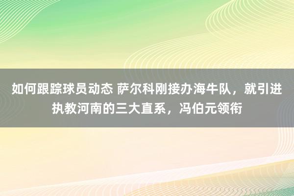 如何跟踪球员动态 萨尔科刚接办海牛队，就引进执教河南的三大直系，冯伯元领衔