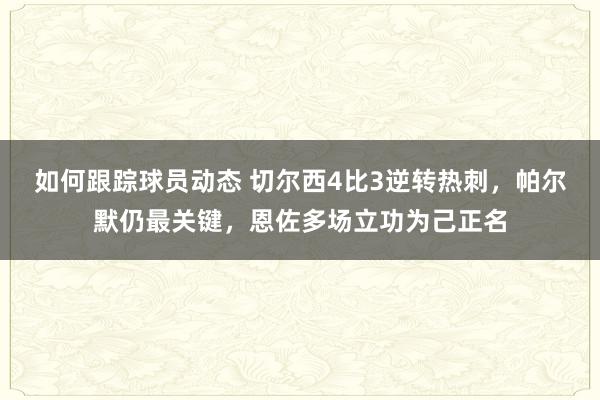 如何跟踪球员动态 切尔西4比3逆转热刺，帕尔默仍最关键，恩佐多场立功为己正名